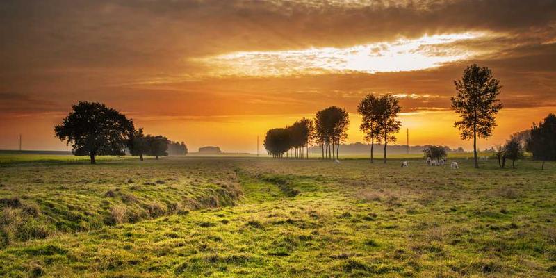 练习“信息禁食”与“信息盛宴”的交替节律，找到个人平衡点