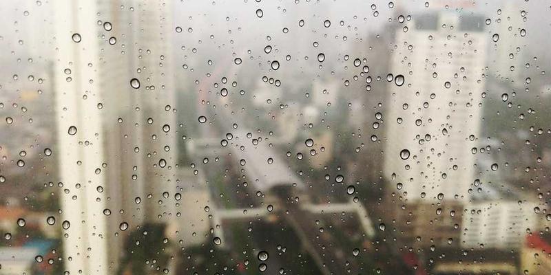 建立“认知多样性”食谱：刻意摄入与你观点相左的优质信息