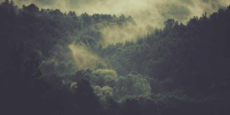 小辈们围在我身边，玩耍、嬉闹，我成了他们快乐的源泉