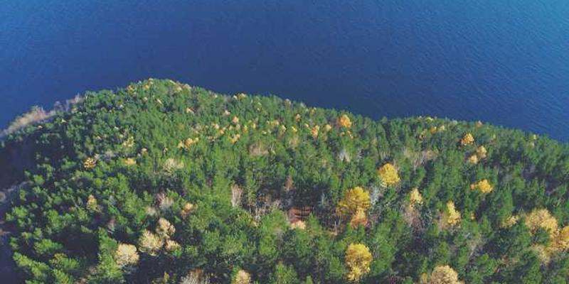 财务数据图表，包括收入、支出和储蓄曲线