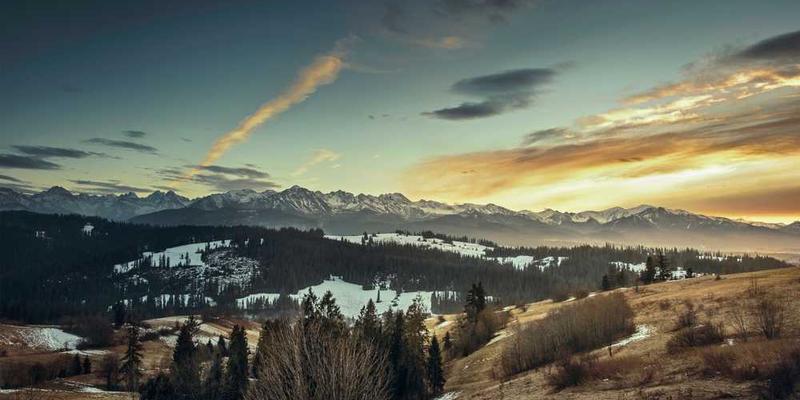 电动牙刷的忠诚：每日两次的固定频率，比任何伴侣都更规律可靠。