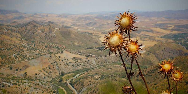 一张你参加慈善晚宴的照片，说明：关爱弱势群体