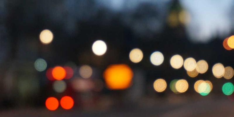 体验长时间拥抱一棵树，记录手掌与树干接触面的感觉流变