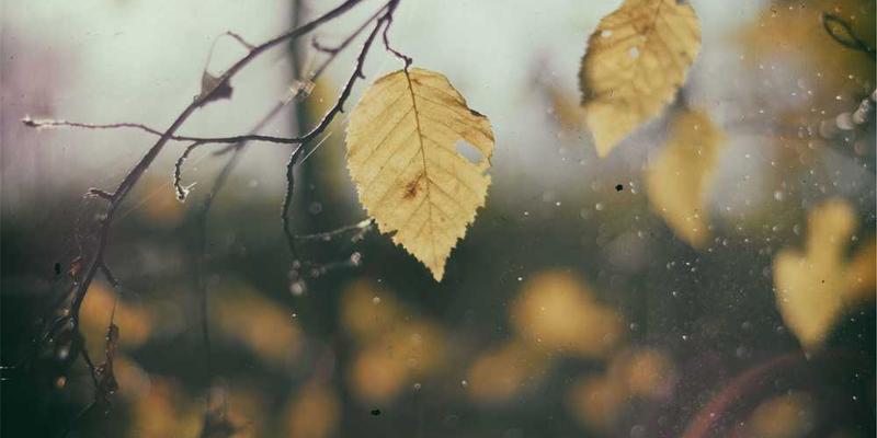 社交媒体“秒删”动态的考古挖掘：发布后三秒内被理性扼杀的冲动。