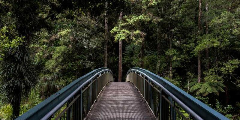 公开宣布一个自己完全不认同的观点，并为它辩护一整天
