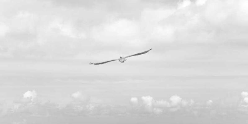 早期网页审美研究：我的第一个自定义博客皮肤