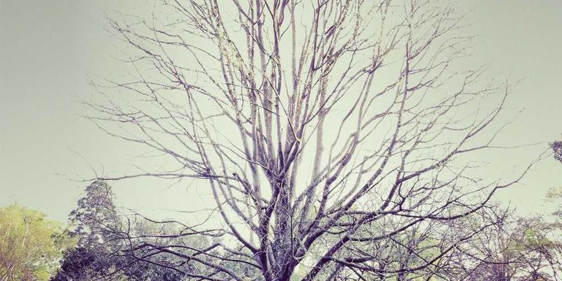 一对情侣手牵手在夕阳下散步,背景是五彩斑斓的晚霞,画面温馨浪漫,体现爱情中的美好时光