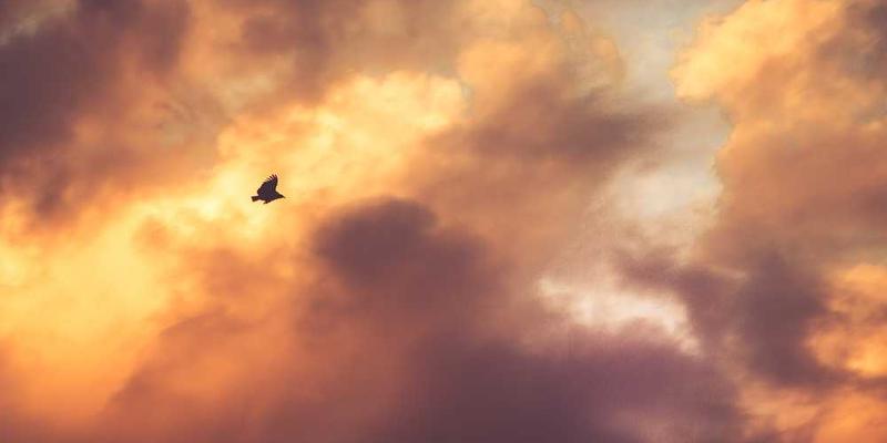 独生子女与父母的关系课题：当关爱变成“甜蜜的负担”