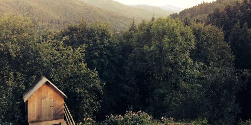 中国风电场与太阳能发电站全景图，展现清洁能源发展的壮丽景象