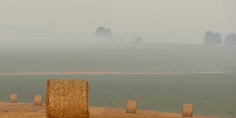 健身房镜子前，几位锻炼者正在专注地审视自己的身材，表情各异，有的略显焦虑，有的则是自信满满。