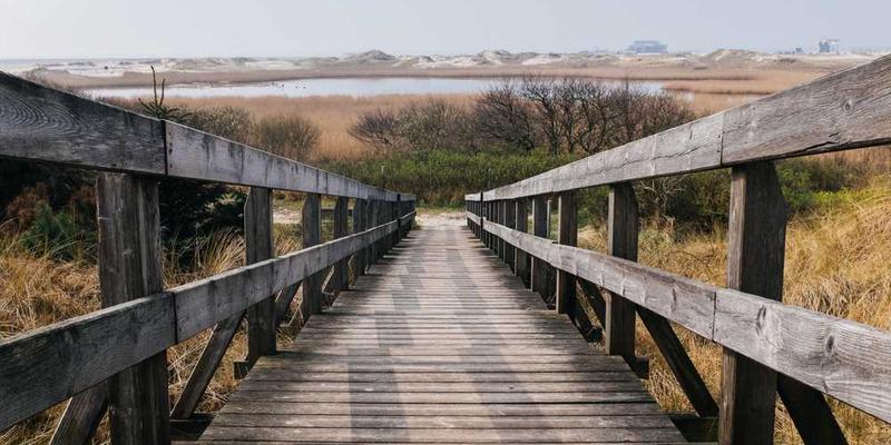 91直播手机版应用界面截图,展示清晰的直播画面和简洁的操作界面