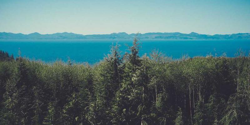 AI红娘根据双方数据匹配了“完美伴侣”，两人见面后发现无话可说，因为一切已被预测。