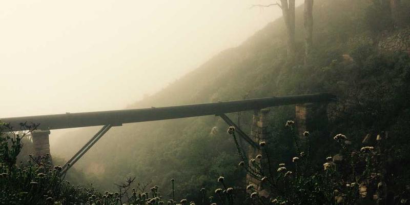 央行宣布降息，刺激经济复苏