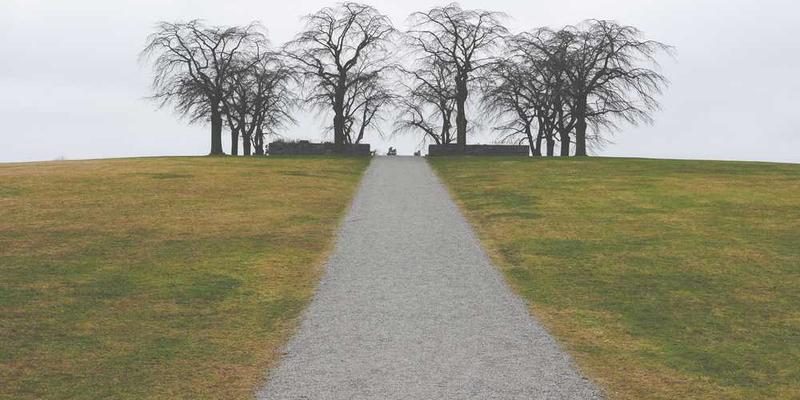说明：一张展示遗忘曲线的图表，解释遗忘曲线的原理和应用