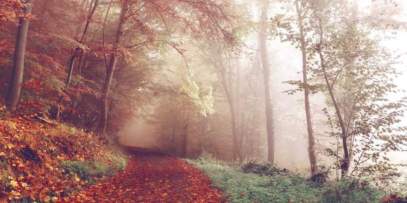 给自己放一个“反向假期”：在假期里完成比工作时更繁重的学习任务