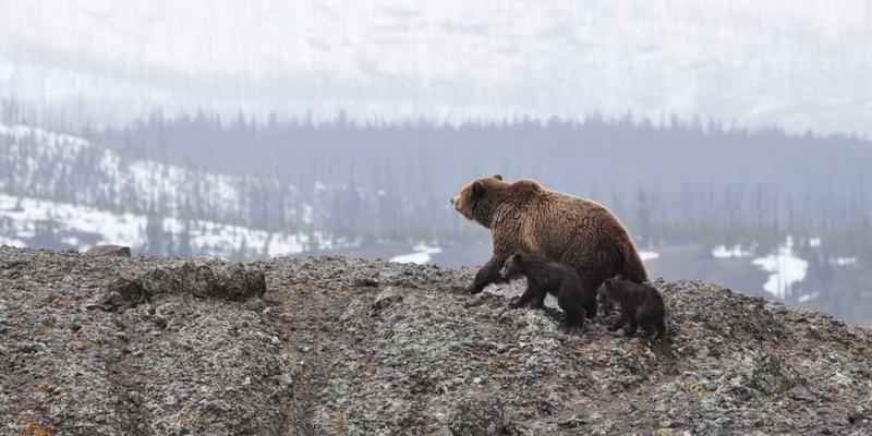 破译餐厅菜单的“定价心理学”：字体、描述与价格的魔术