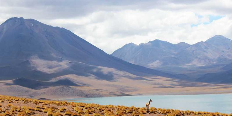 生物黑客初级尝试：从睡眠监测到补剂，我亲测了哪些有效？