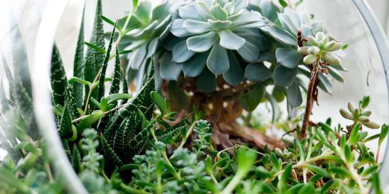 政府工作人员向中小企业负责人介绍融资扶持政策