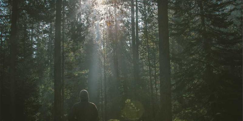 微型小说挑战：如何在500字内讲一个完整的故事？