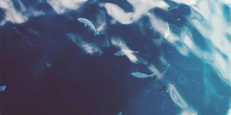 一个年轻的家庭，孩子手中抱着布偶，脸上洋溢着幸福的笑容