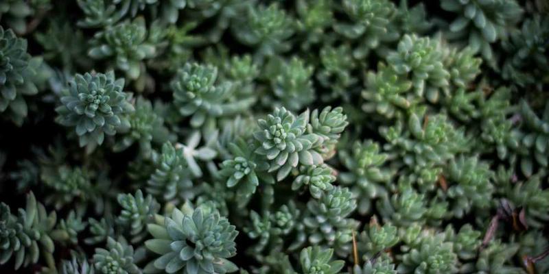 分析电影院座椅的起伏，如何与上百部电影的情绪曲线发生隐秘共振