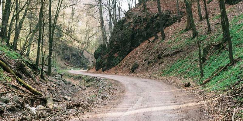 一本打开的书，书名《韧性训练数据集》，书页上显示着数据和图表，背景是办公室的景象，体现着知识的力量和工作的场景