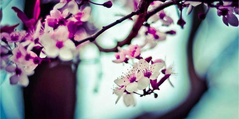 为长期压抑真实感受的日记,做一次“情感纤维化”的扫描