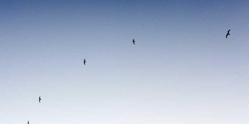 AI绘画入门：用Midjourney生成为你第一张艺术作品的关键词公式