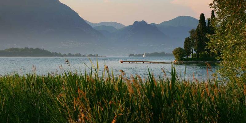 高楼俯瞰，车流如织，高楼大厦如林，展现都市的雄伟。