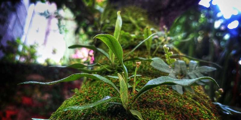 戒断某一特定信息源（如某App、某博主）一周后的戒断反应与认知变化。