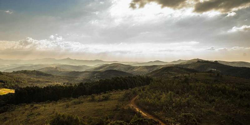 正念练习的微习惯：从每天3分钟的呼吸观察开始