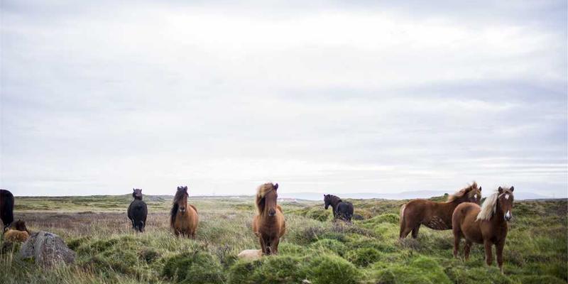 繁忙的街边菜市场，熙熙攘攘的人群，各种新鲜食材摊位，色彩斑斓的蔬菜水果，热气腾腾的美食摊点