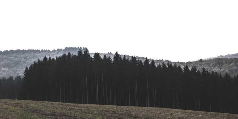 钥匙与锁孔的私密关系:经年累月磨合出的、独一无二的物理契合。