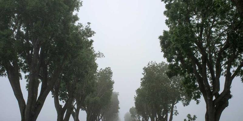 一位专注阅读的人，背景为安静的图书馆环境，体现“数字极简”的主题