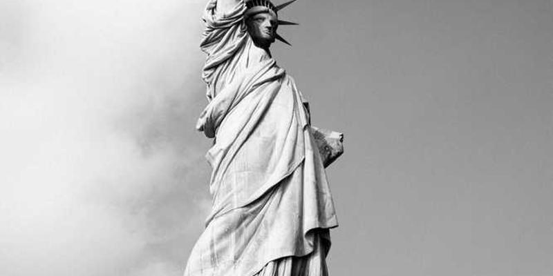 说明：一张树叶背面昆虫产卵的排列图案照片，突出昆虫卵的有序排列