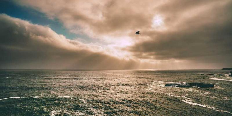 一座记忆宫殿，其结构随时间变化，呈现出生命般的动态美感