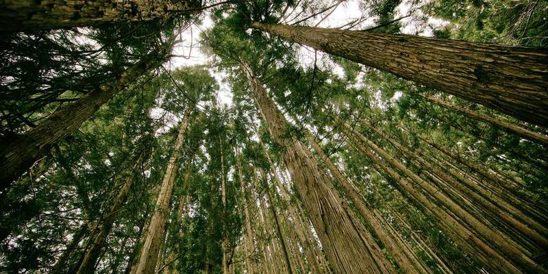 一张模糊的、色彩渐变的图片，寓意着逝去的友谊，回忆如云团般散开