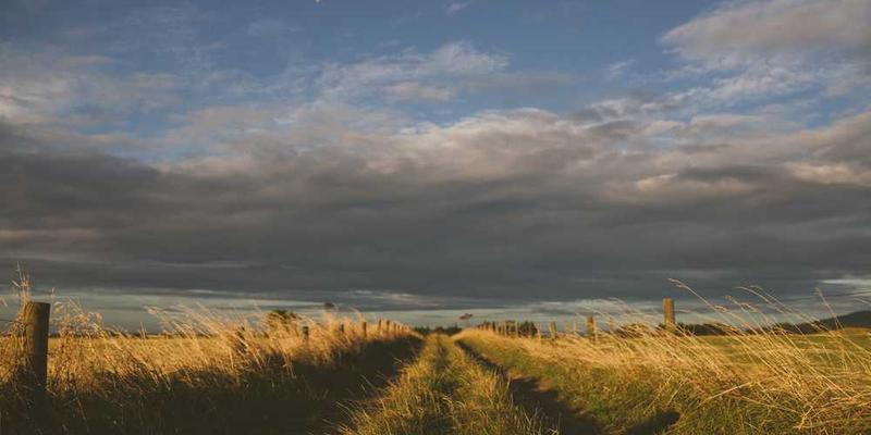 成都宽窄巷子骑行风景