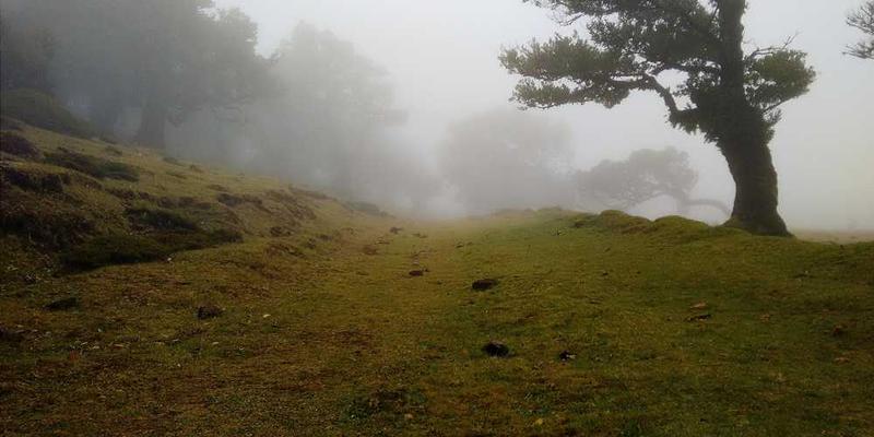 为你厨房的调味罐，撰写一篇关于家庭口味变迁的微观史