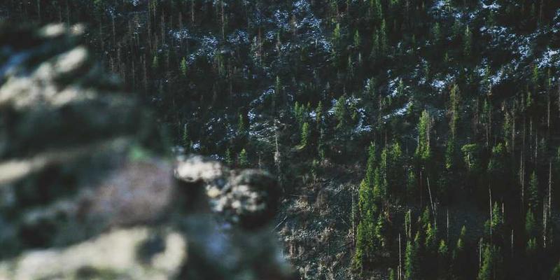 观察家门钥匙在酩酊大醉的深夜，顽固地拒绝识别锁孔的“清醒审判”