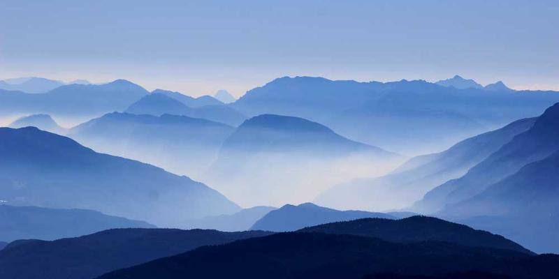 说明：一位画家在白色画布上用黑色墨水画下一幅抽象画作，画面中一个简单的黑色形状逐渐展现出一只鸟的形象，象征着故事在简洁中绽放的生命力。