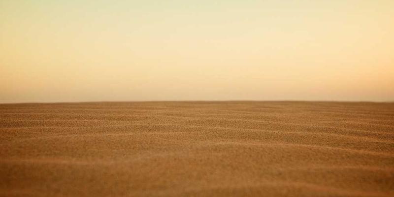 说明:夜晚的城市街头,一对恋人相拥漫步,幸福而美好