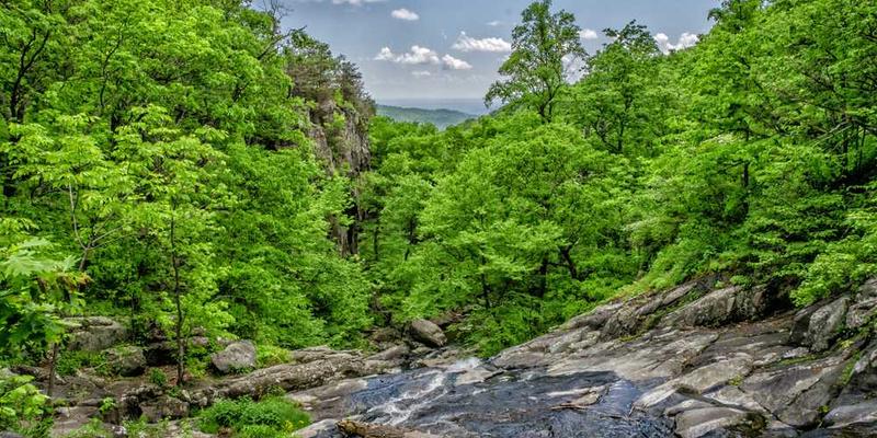 一个职场人士通过手机、平板和电脑查看同一份文件，背景为云盘图标
