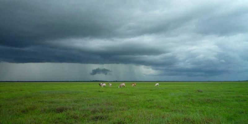 将每日新闻阅读转化为“趋势预测市场”的虚拟投资游戏