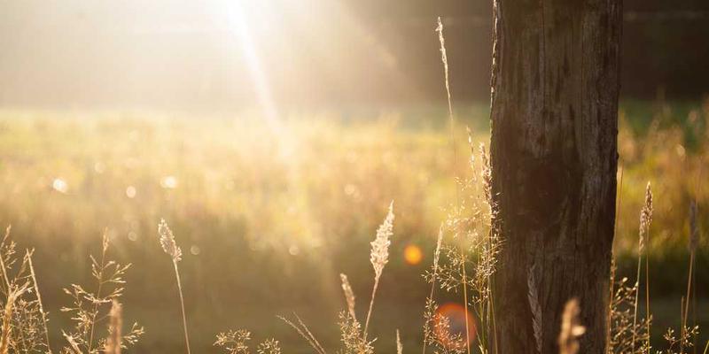 使用慢动作拍摄孩子玩耍的场景，画面充满动感，增加趣味性