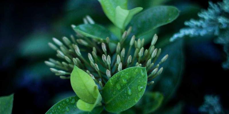 李娜和郑洁与青少年网球选手在北京网球公开赛现场合影，三人手持网球拍，笑容灿烂，背景是赛事主场馆