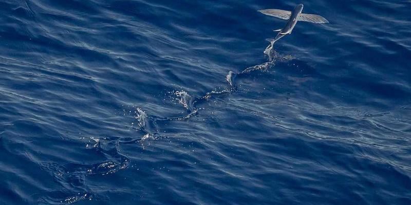 一位思考中的男士,背后是一盏透明天花板的吊灯,光线柔和地照在他的脸上,显得深思而又内省