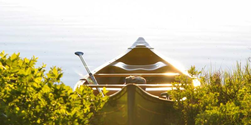 911行情网站直播高清版2025界面截图，展示清晰的K线图和实时数据面板