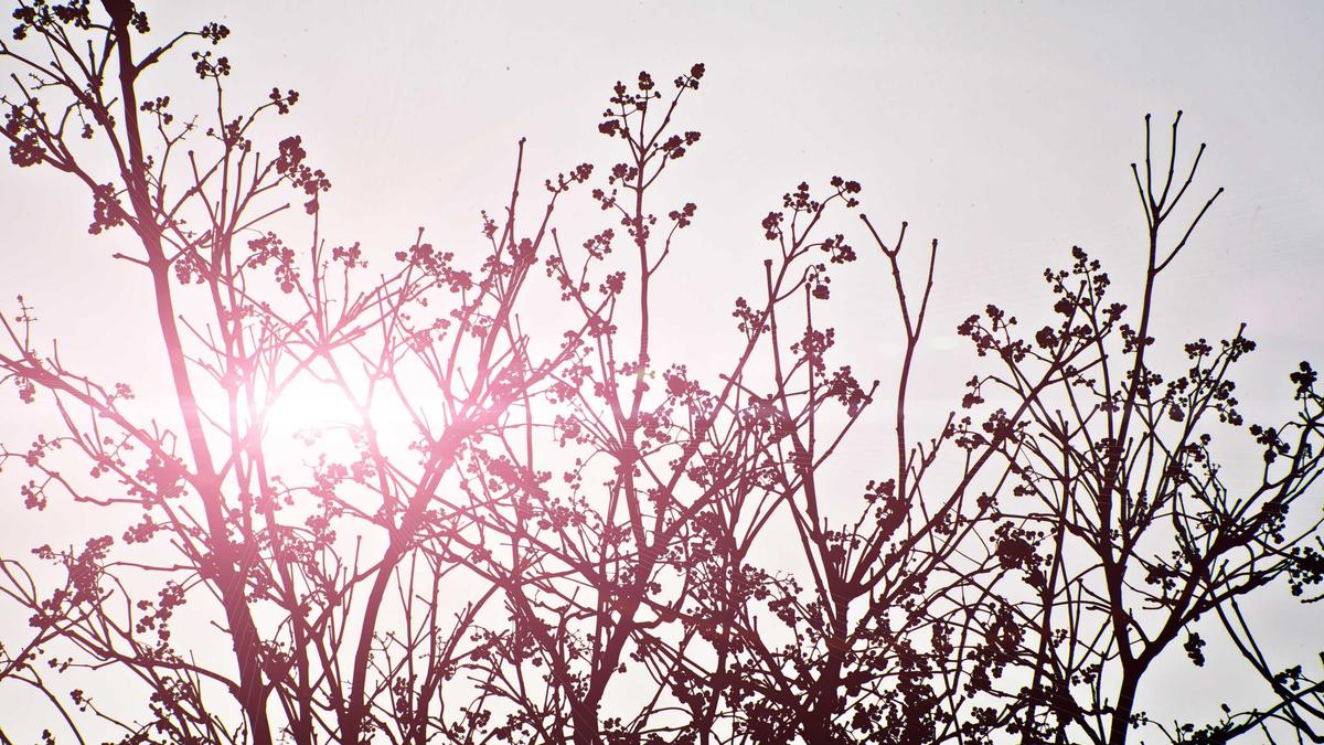 体育历史与传统的破坏